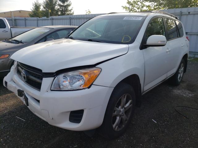 Photo 1 VIN: 2T3BF4DV5BW116474 - TOYOTA RAV4 