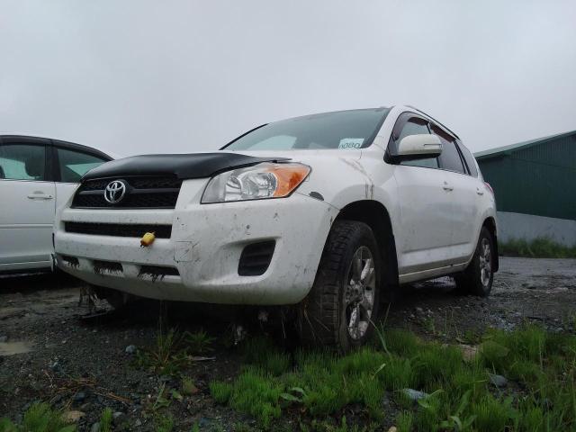 Photo 3 VIN: 2T3BF4DV5CW262665 - TOYOTA RAV4 