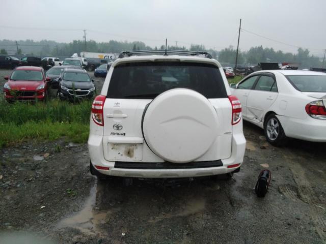 Photo 5 VIN: 2T3BF4DV5CW262665 - TOYOTA RAV4 