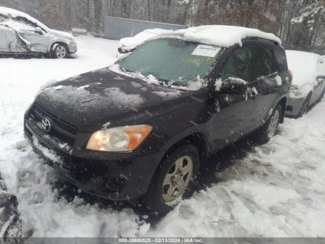 Photo 1 VIN: 2T3BF4DV8BW146424 - TOYOTA RAV4 