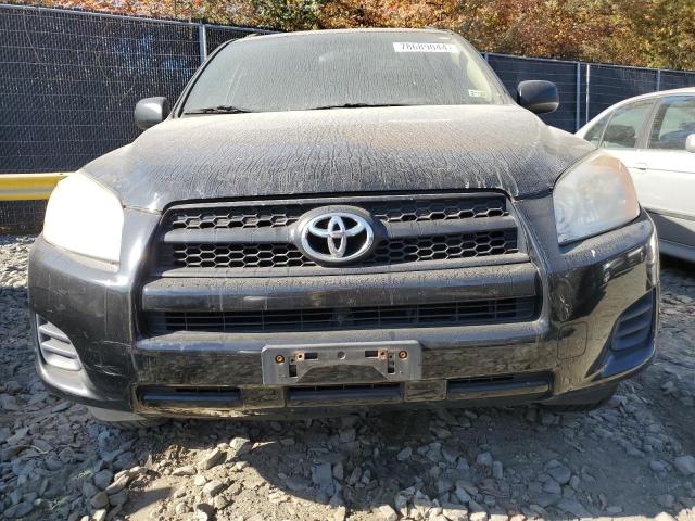 Photo 4 VIN: 2T3BF4DV9AW074664 - TOYOTA RAV4 