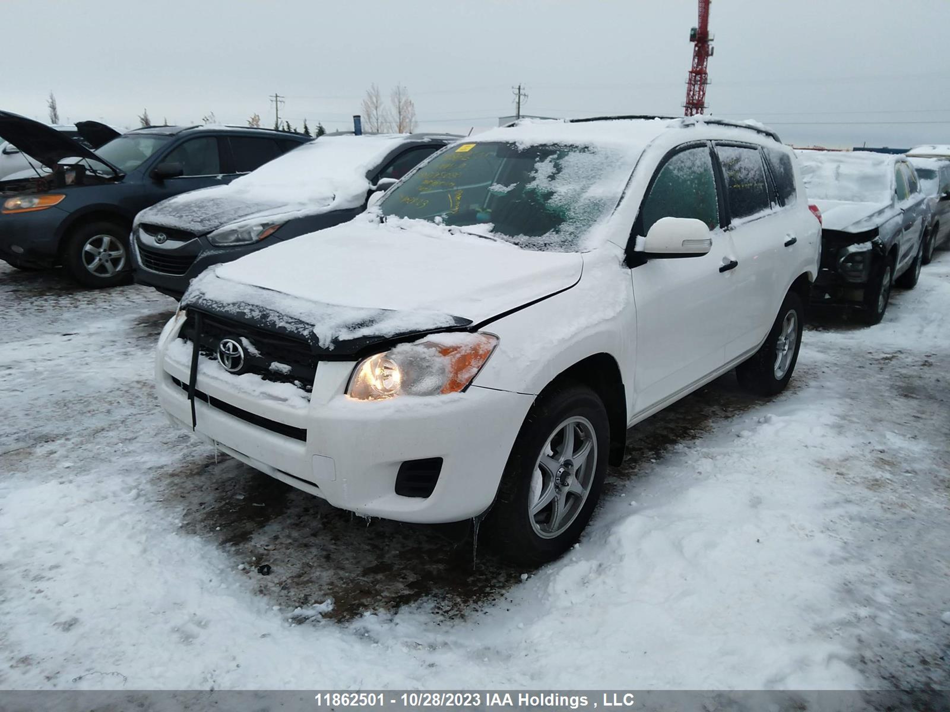 Photo 1 VIN: 2T3BF4DV9BW095080 - TOYOTA RAV 4 