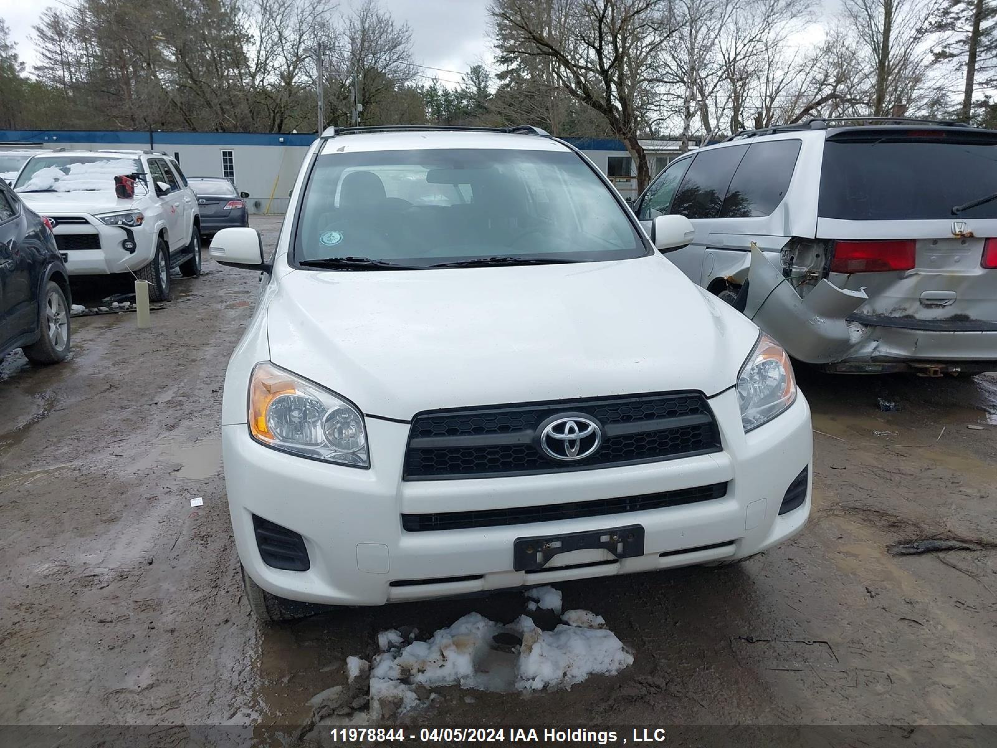 Photo 11 VIN: 2T3BF4DV9BW145167 - TOYOTA RAV 4 