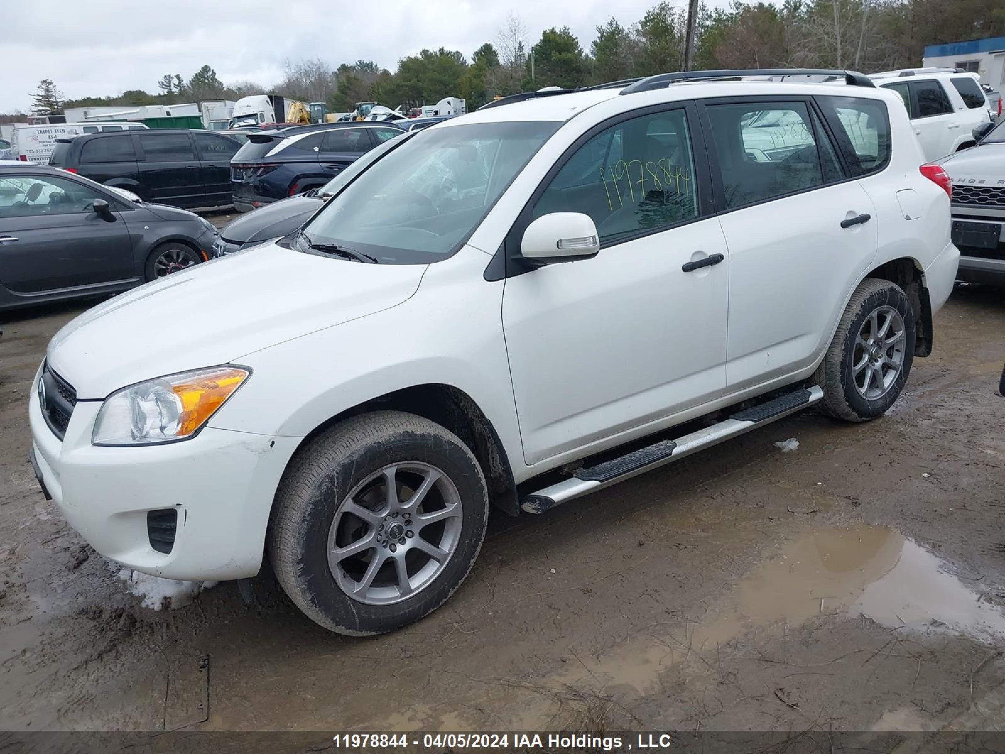 Photo 13 VIN: 2T3BF4DV9BW145167 - TOYOTA RAV 4 