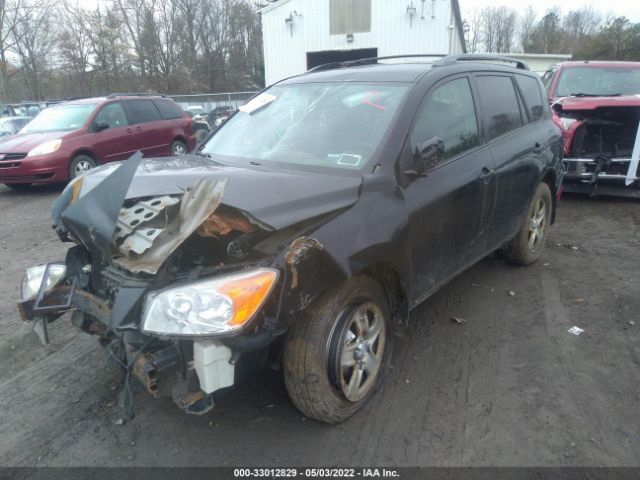 Photo 1 VIN: 2T3BF4DV9BW164155 - TOYOTA RAV4 