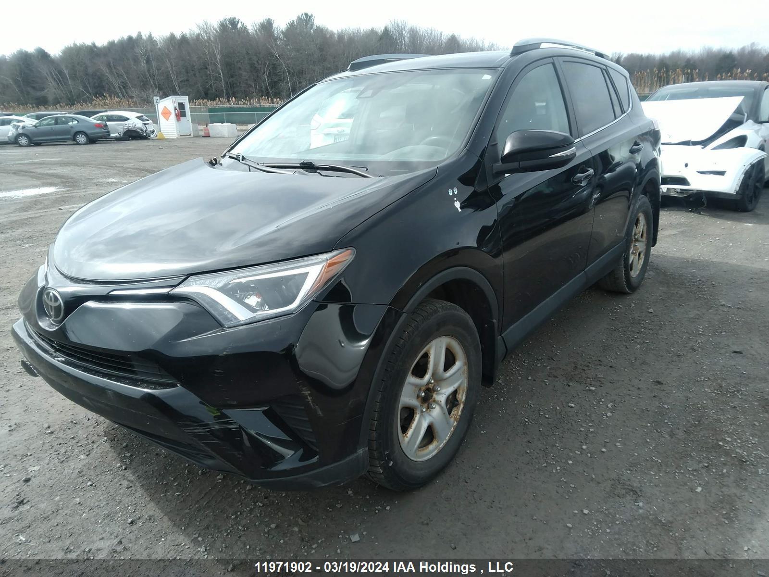 Photo 1 VIN: 2T3BFREV1HW550508 - TOYOTA RAV 4 