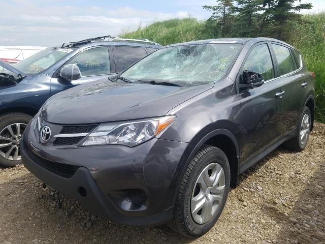 Photo 1 VIN: 2T3BFREV6FW342704 - TOYOTA RAV4 LE 