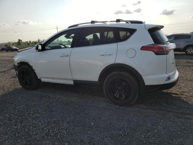 Photo 1 VIN: 2T3BFREV9HW567170 - TOYOTA RAV4 LE 