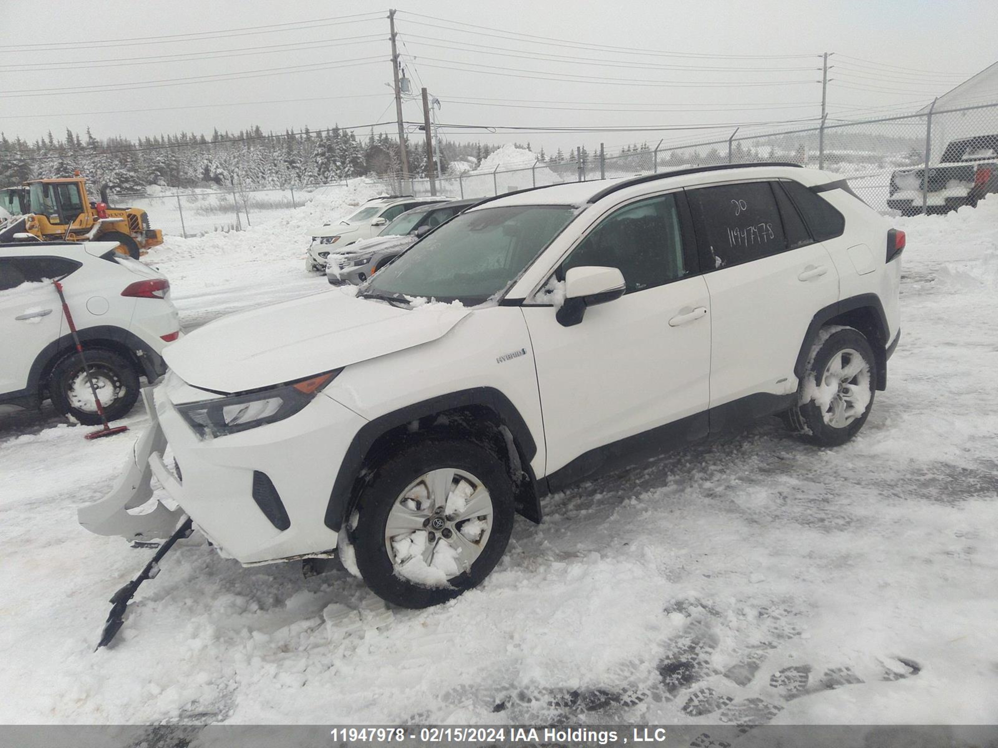 Photo 1 VIN: 2T3BWRFV2LW097913 - TOYOTA RAV 4 