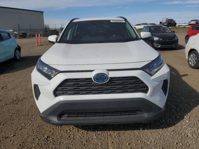 Photo 4 VIN: 2T3BWRFV7LW084526 - TOYOTA RAV4 LE 