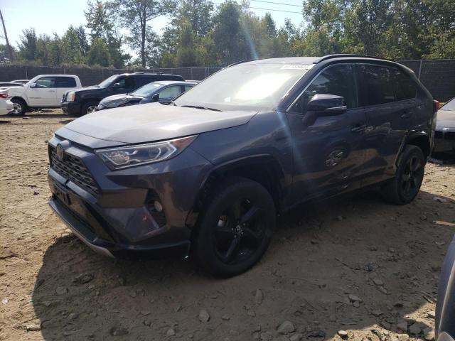 Photo 0 VIN: 2T3EWRFV6KW040299 - TOYOTA RAV4 XSE 