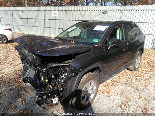 Photo 1 VIN: 2T3F1RFV2KC029983 - TOYOTA RAV4 