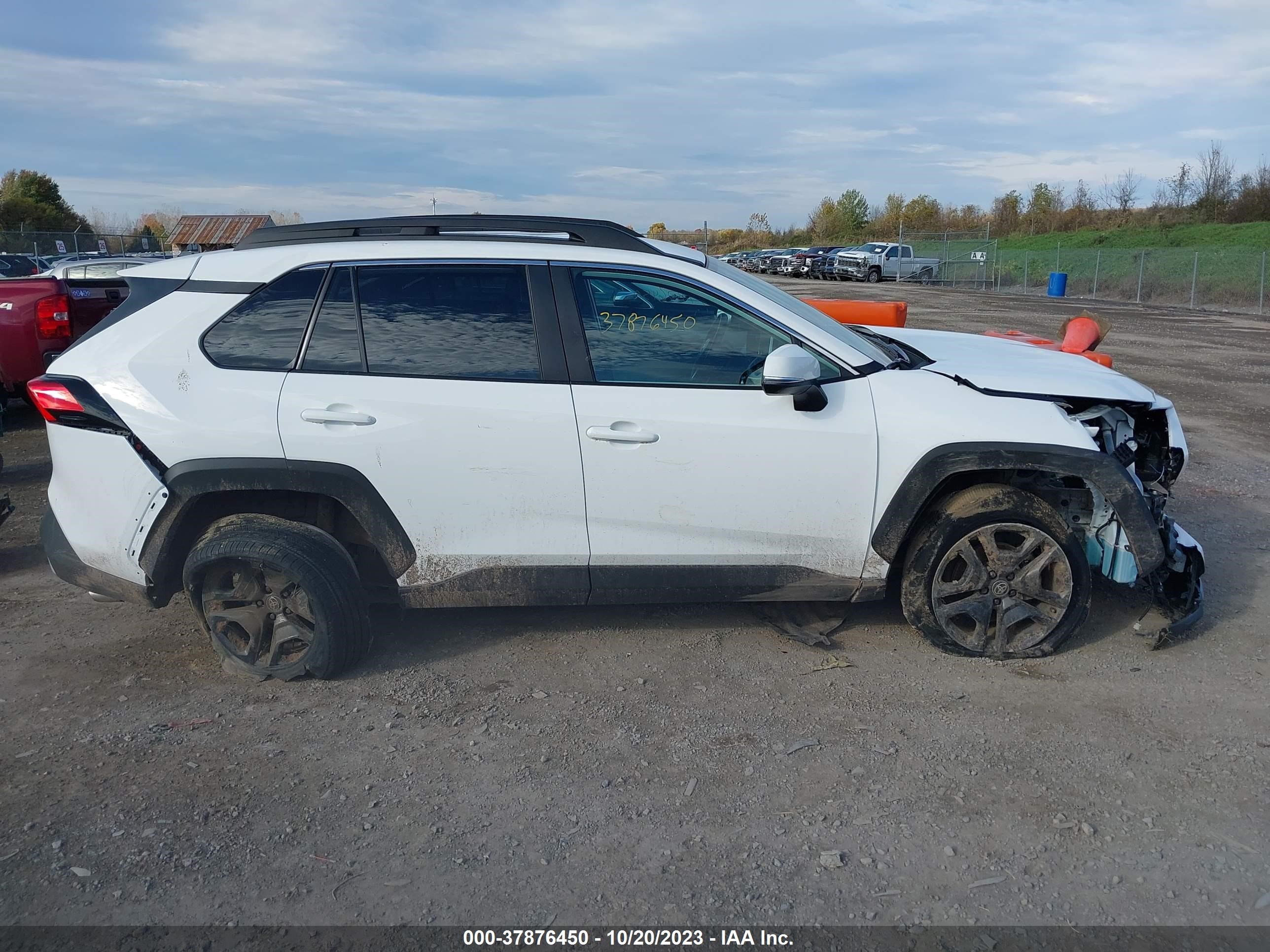 Photo 12 VIN: 2T3J1RFV5PW358788 - TOYOTA RAV 4 