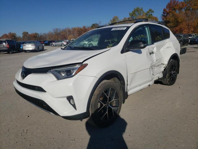 Photo 1 VIN: 2T3JFREV1HW607060 - TOYOTA RAV4 SE 