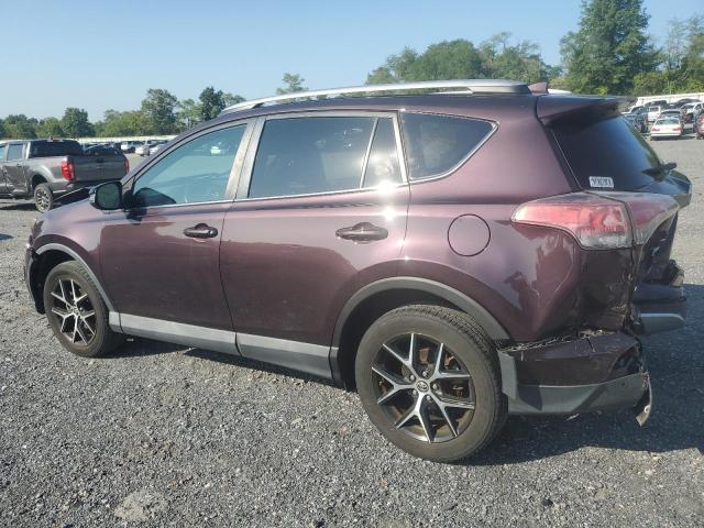 Photo 1 VIN: 2T3JFREV3GW422071 - TOYOTA RAV4 SE 