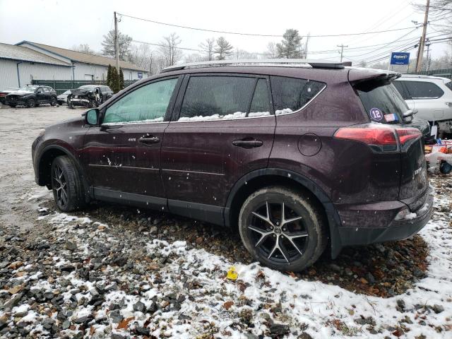 Photo 1 VIN: 2T3JFREV3JW755037 - TOYOTA RAV4 SE 