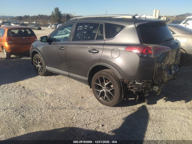 Photo 2 VIN: 2T3JFREV4GW456584 - TOYOTA RAV4 