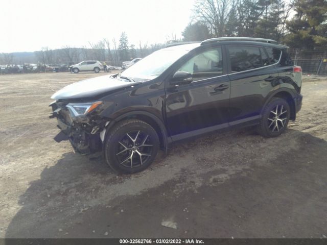 Photo 1 VIN: 2T3JFREV4JW823135 - TOYOTA RAV4 