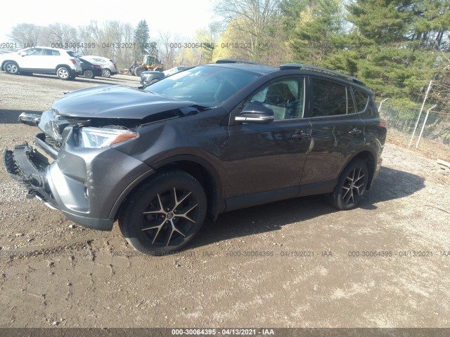 Photo 1 VIN: 2T3JFREV5HW665401 - TOYOTA RAV4 