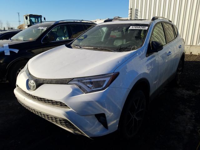 Photo 1 VIN: 2T3JFREV6JW837134 - TOYOTA RAV4 SE 