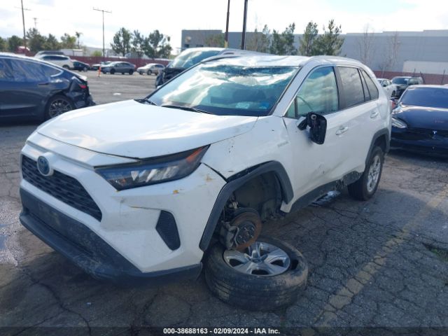 Photo 1 VIN: 2T3LWRFV5LW072167 - TOYOTA RAV4 