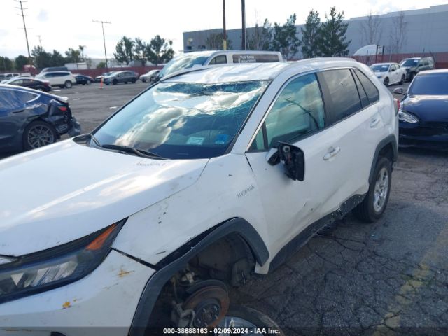 Photo 5 VIN: 2T3LWRFV5LW072167 - TOYOTA RAV4 