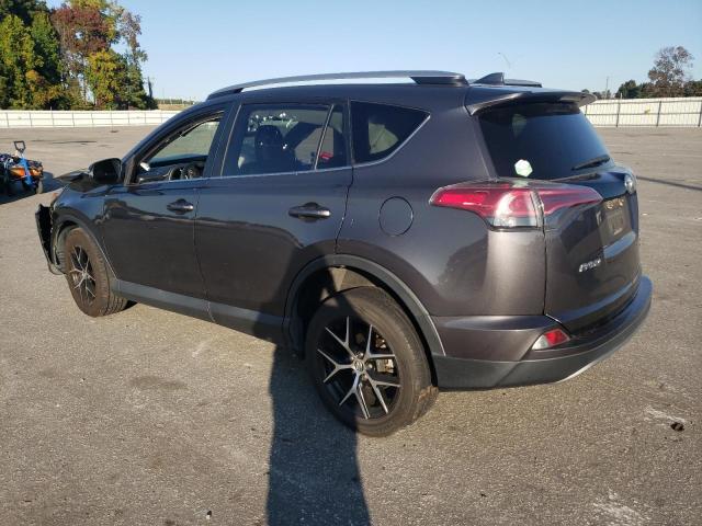 Photo 1 VIN: 2T3NFREV1HW344750 - TOYOTA RAV4 SE 