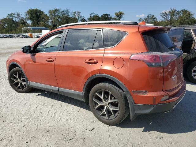 Photo 1 VIN: 2T3NFREV6GW298556 - TOYOTA RAV4 SE 