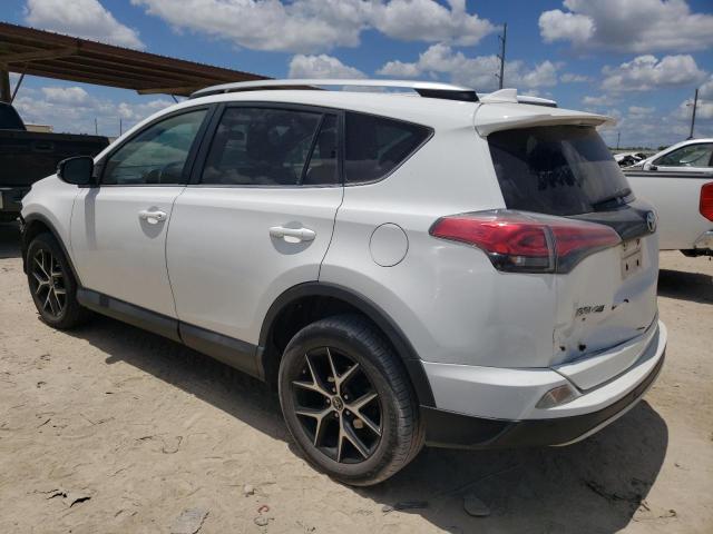 Photo 1 VIN: 2T3NFREV8GW300405 - TOYOTA RAV4 SE 