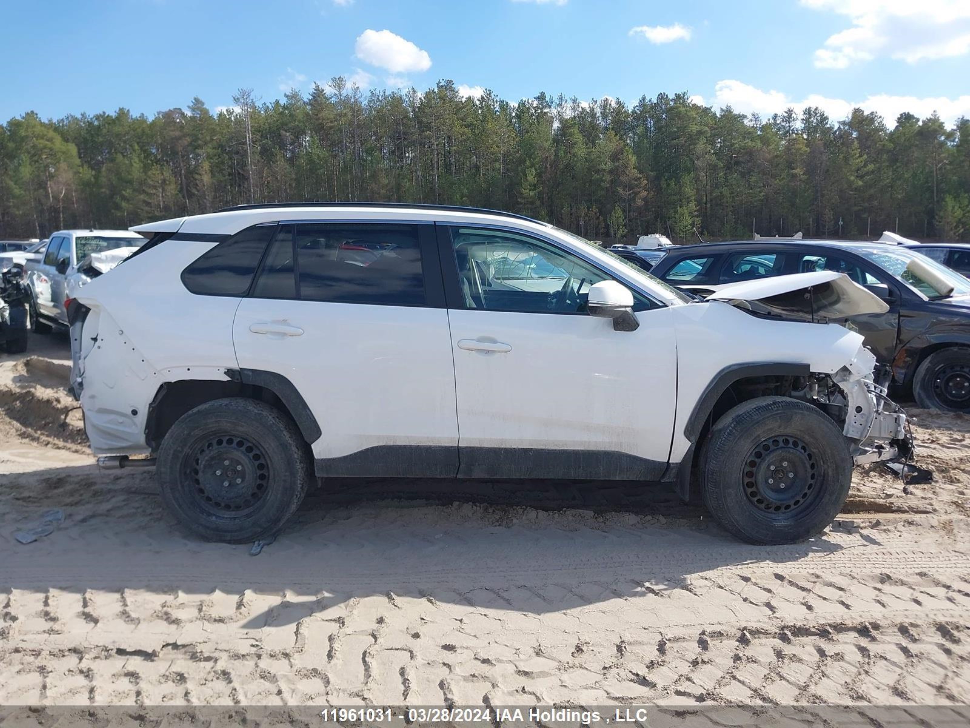 Photo 12 VIN: 2T3R1RFV4PC385971 - TOYOTA RAV 4 