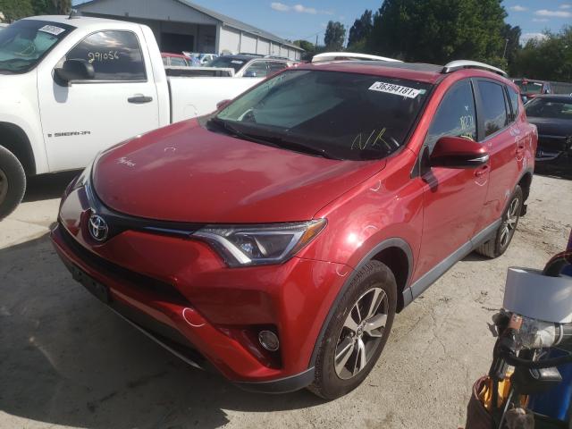 Photo 1 VIN: 2T3RFREV1GW526111 - TOYOTA RAV4 XLE 