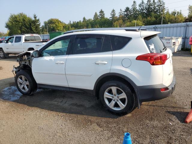 Photo 1 VIN: 2T3RFREV2EW159992 - TOYOTA RAV4 XLE 