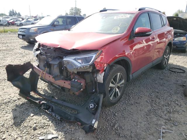 Photo 1 VIN: 2T3RFREV3HW662418 - TOYOTA RAV4 XLE 