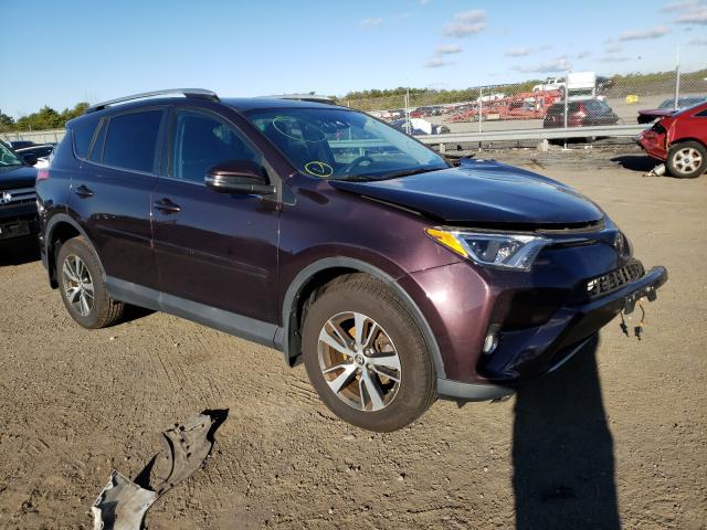 Photo 0 VIN: 2T3RFREV5GW431776 - TOYOTA RAV4 XLE 