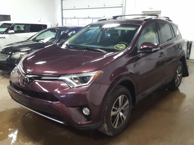 Photo 1 VIN: 2T3RFREV5GW479861 - TOYOTA RAV4 XLE 