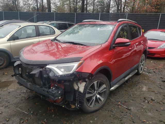 Photo 1 VIN: 2T3RFREV8GW437359 - TOYOTA RAV4 XLE 