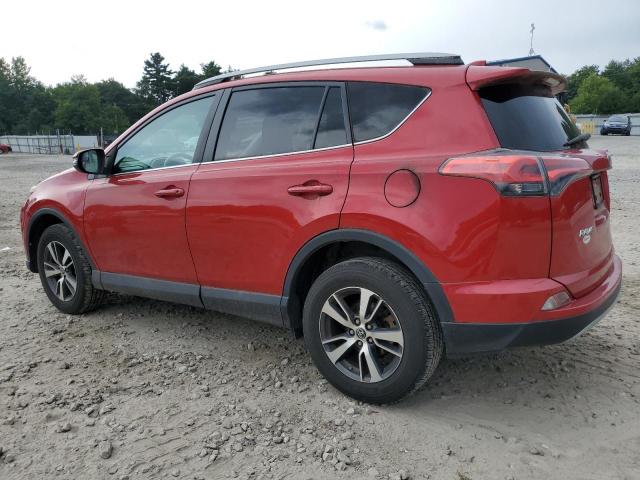 Photo 1 VIN: 2T3RFREV8HW590812 - TOYOTA RAV4 XLE 