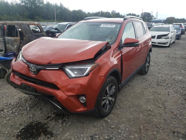 Photo 1 VIN: 2T3RFREV9GW420943 - TOYOTA RAV4 XLE 