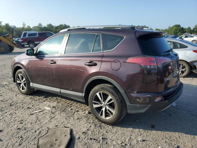 Photo 1 VIN: 2T3RFREVXHW675134 - TOYOTA RAV4 XLE 