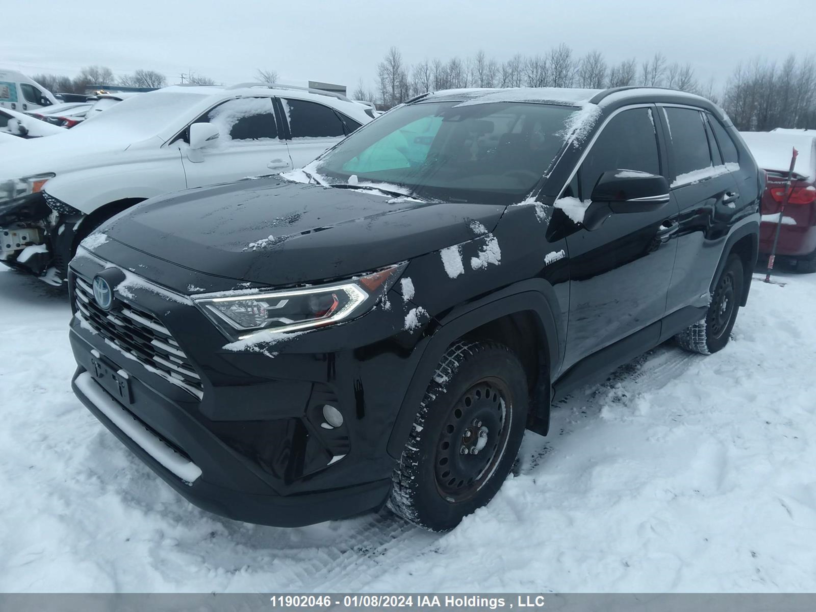 Photo 1 VIN: 2T3RWRFV4LW052986 - TOYOTA RAV 4 