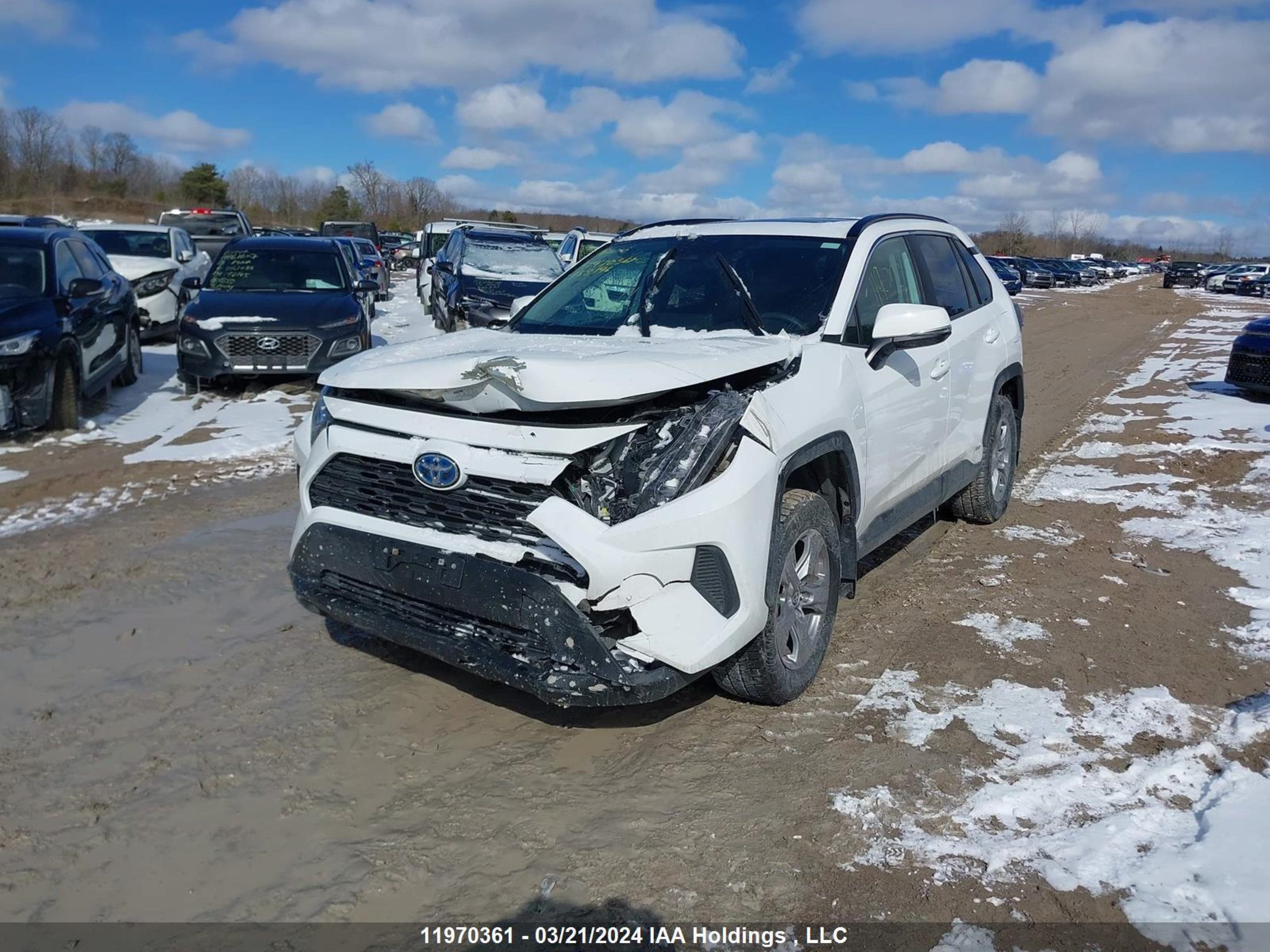 Photo 1 VIN: 2T3RWRFV4PW158196 - TOYOTA RAV 4 