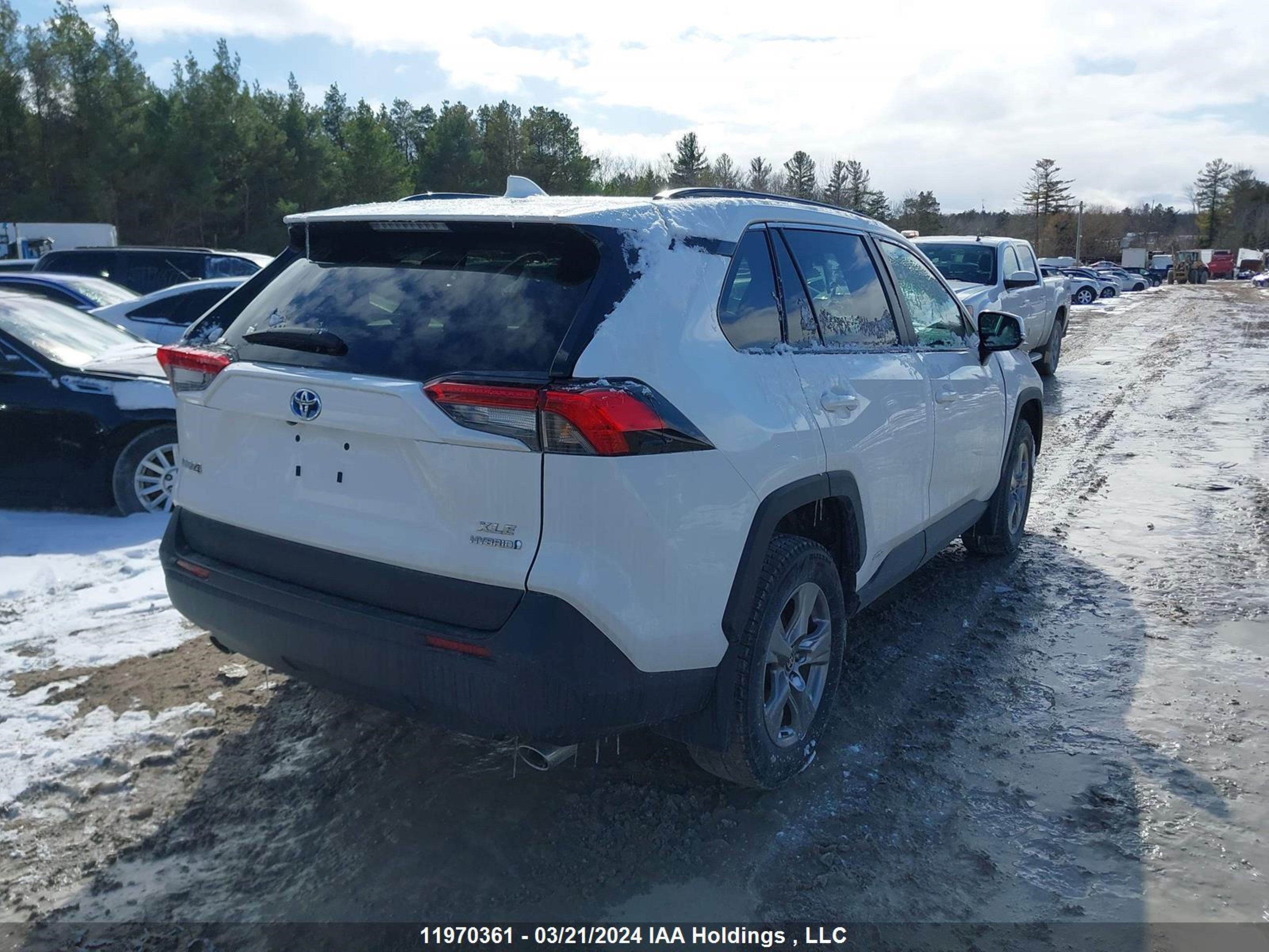 Photo 3 VIN: 2T3RWRFV4PW158196 - TOYOTA RAV 4 