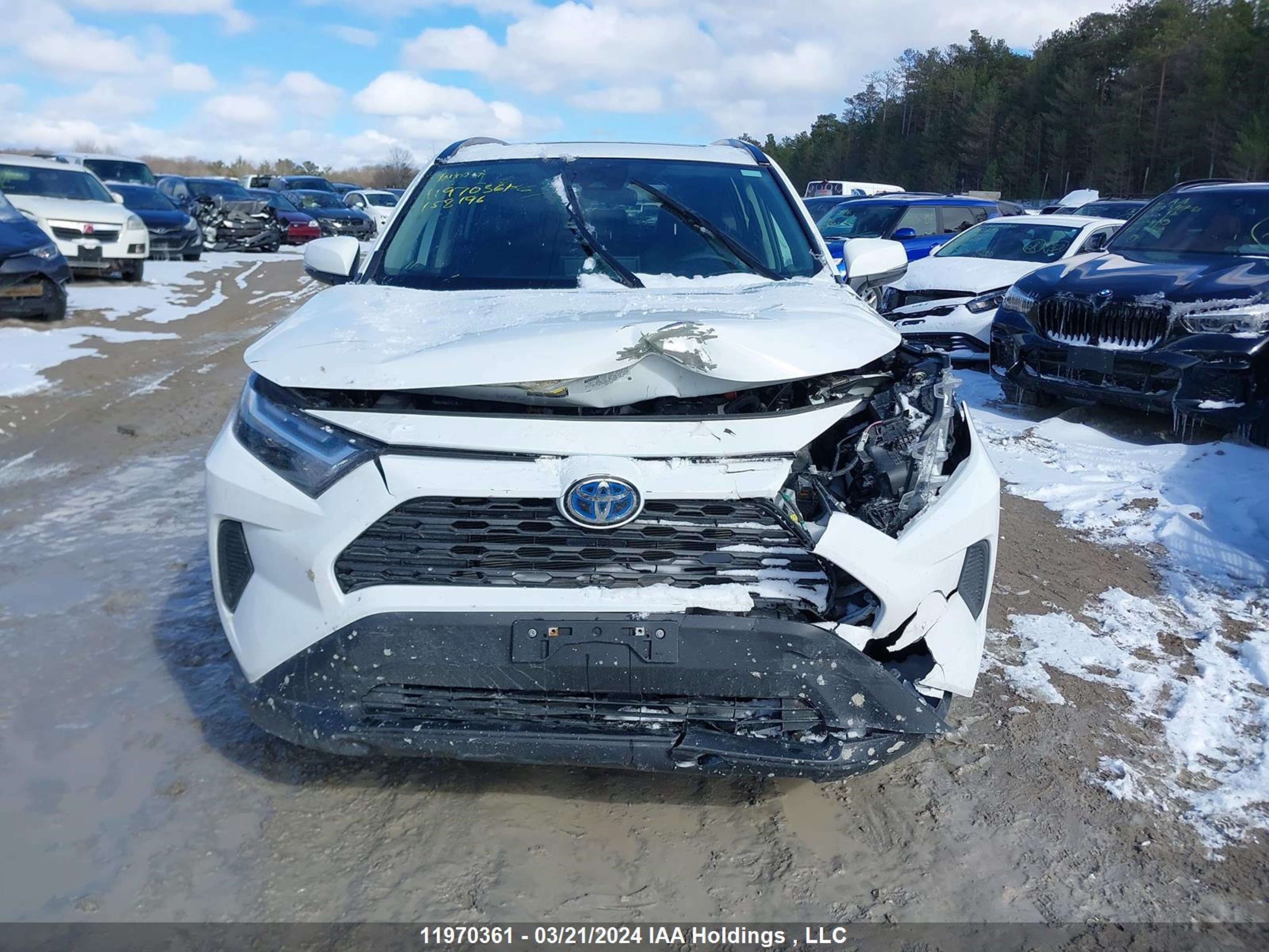 Photo 5 VIN: 2T3RWRFV4PW158196 - TOYOTA RAV 4 