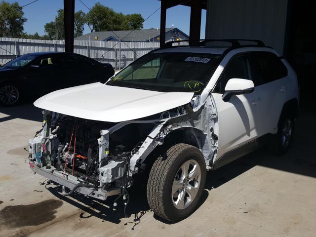 Photo 1 VIN: 2T3RWRFV5KW014357 - TOYOTA RAV4 XLE 