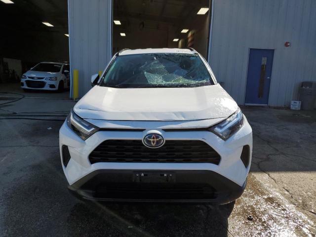 Photo 4 VIN: 2T3RWRFV5RW197611 - TOYOTA RAV4 XLE 