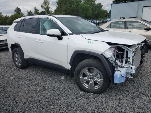 Photo 3 VIN: 2T3RWRFV6RW210494 - TOYOTA RAV4 XLE 