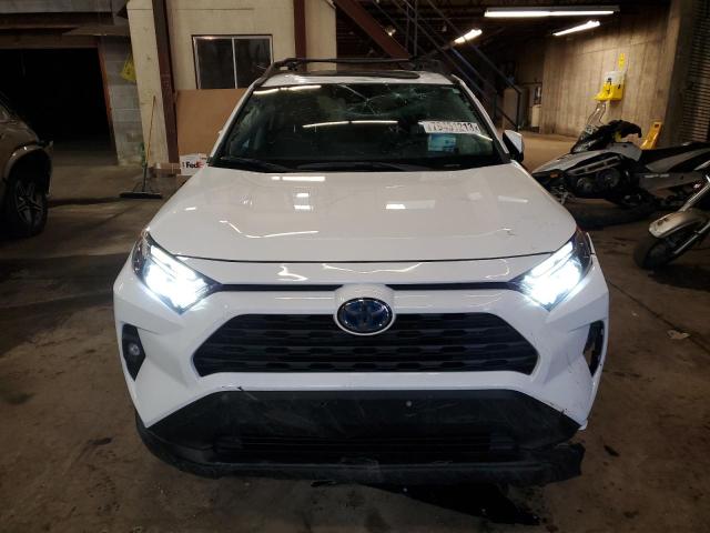 Photo 4 VIN: 2T3RWRFV7PW172514 - TOYOTA RAV4 