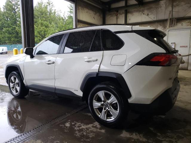 Photo 1 VIN: 2T3RWRFV8LW067927 - TOYOTA RAV4 XLE 