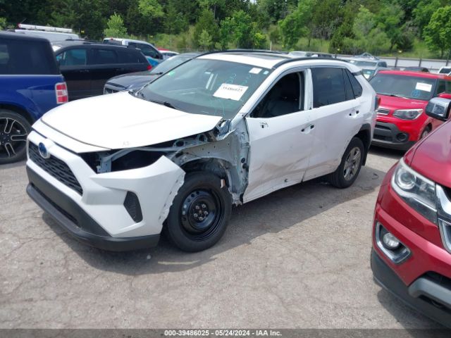 Photo 1 VIN: 2T3RWRFV8NW135128 - TOYOTA RAV4 