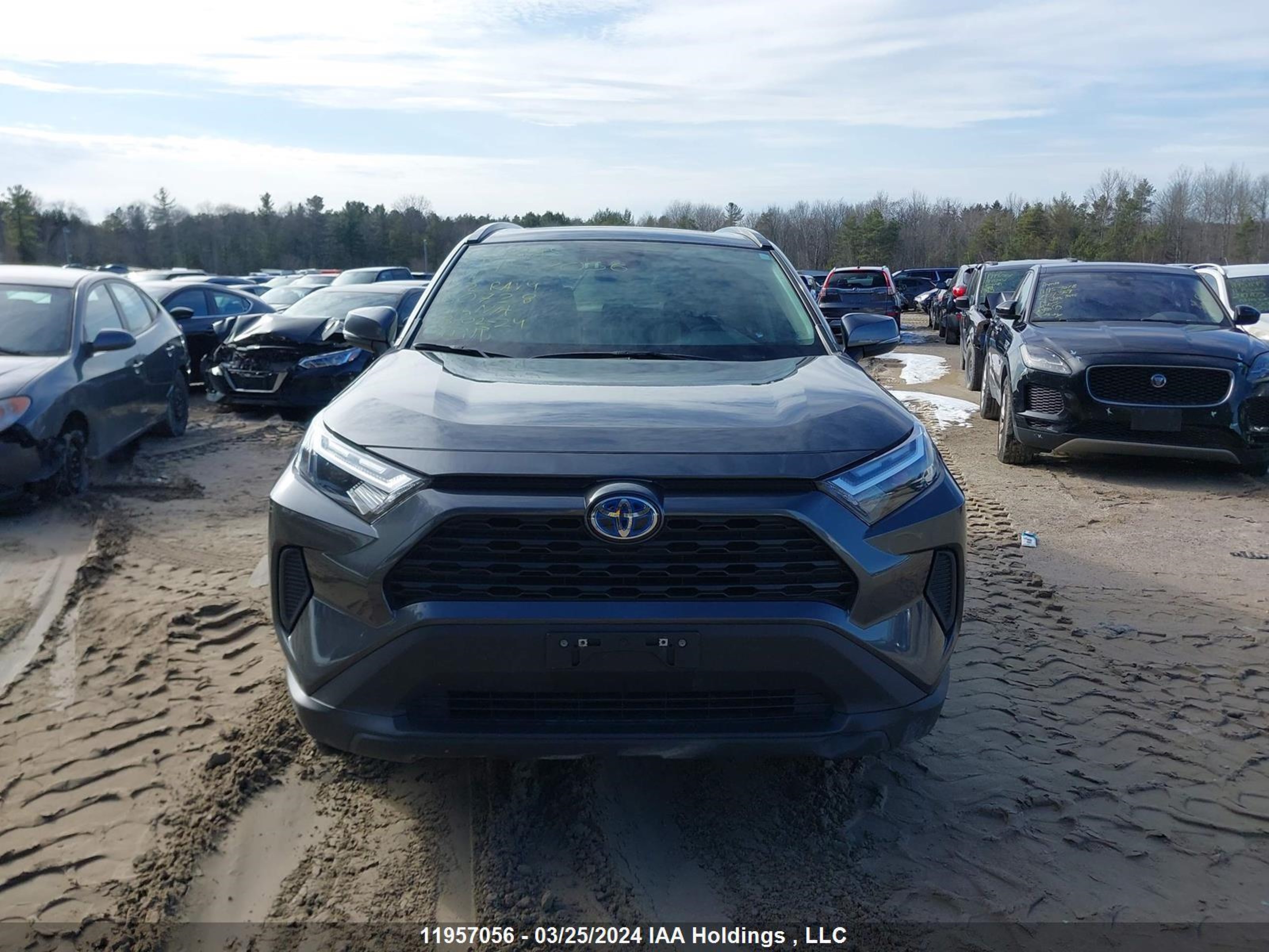 Photo 12 VIN: 2T3RWRFV8NW150728 - TOYOTA RAV 4 